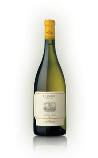 antinori antinori